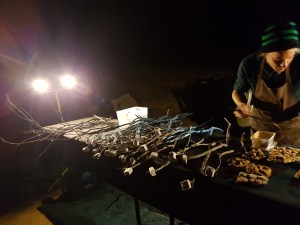 Marshmallows and chocolate fudge